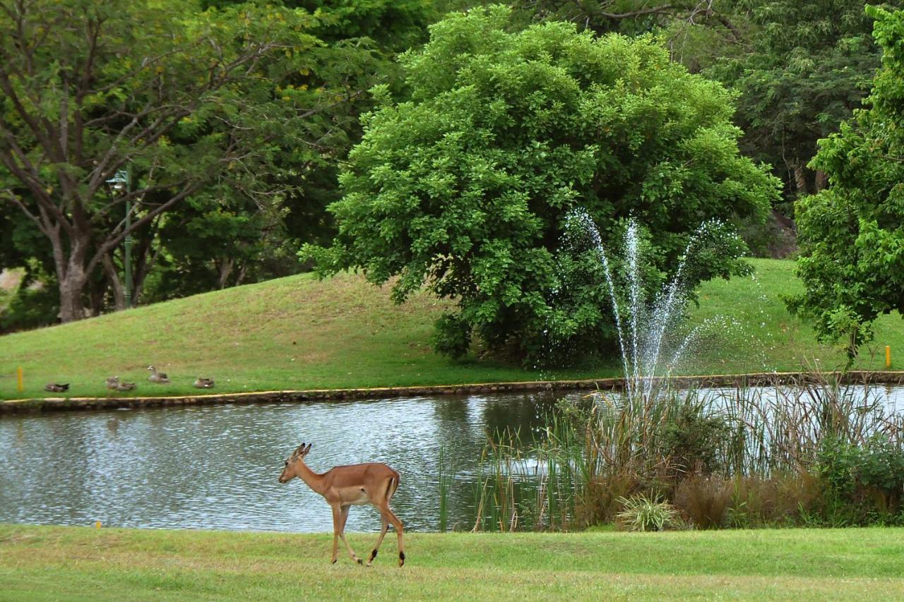 Kruger Park Lodge Unit No. 610B Hazyview Exterior foto